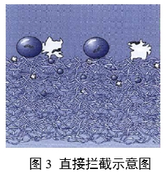 呼吸系統(tǒng)過濾器注冊審查指導原則（2023年第22號）(圖2)