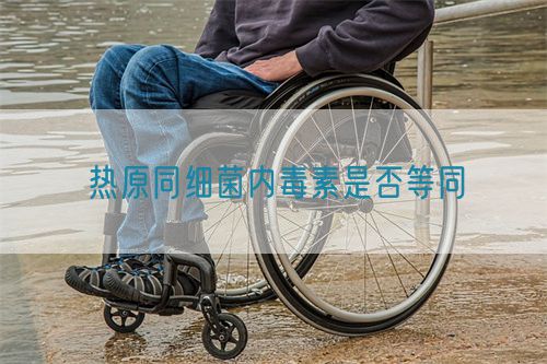 熱原同細菌內(nèi)毒素是否等同(圖1)