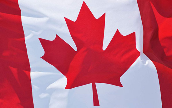 醫(yī)療器械出口歐美日韓澳加要辦什么手續(xù)？(圖4)