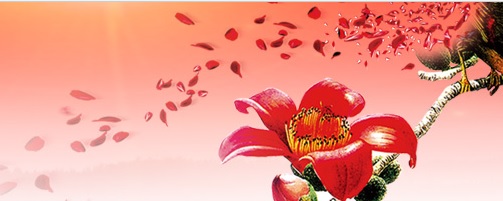 廣東注銷4個產(chǎn)品的醫(yī)療器械注冊證（2020年第60號）(圖1)