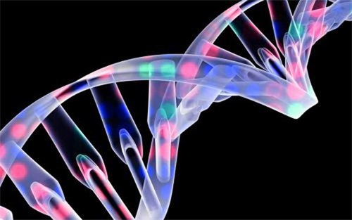 生物相容性是什么意思？怎么判斷醫(yī)療器械要做哪些生物相容性測(cè)試項(xiàng)目？(圖1)