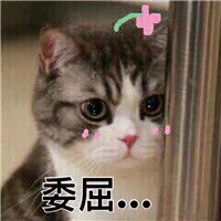 實(shí)驗(yàn)室原始記錄從哪里下手開始檢查？(圖2)